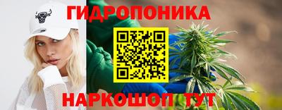 молекула духа Усть-Джегута