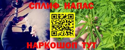 молекула духа Усть-Джегута