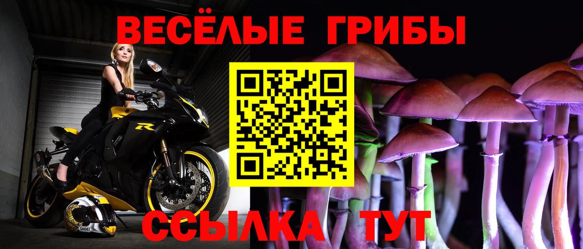 Белово  Псилоцибиновые грибы Cubensis  Вход с VPN 