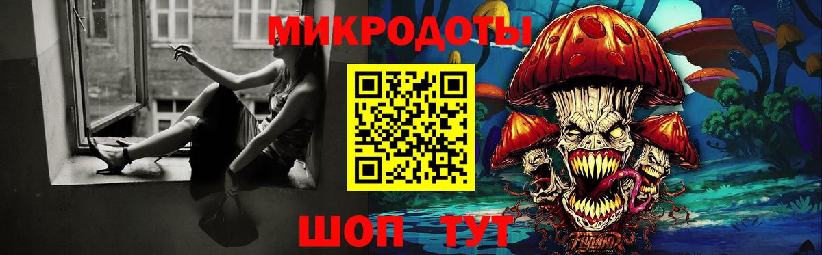 Галлюциногенные грибы Psilocybine cubensis Белово